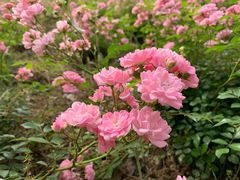 -白塘生态植物园