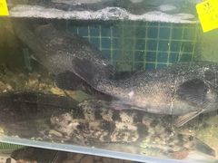 -77号渔船·蒸海鲜青岛菜(积米崖店)