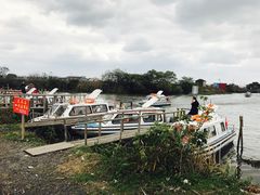 -喜洋洋蟹庄(阳澄湖店)