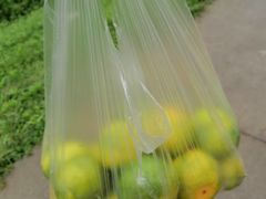 -前小桔亲子创意农场·草莓采摘·露营烧烤