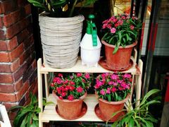 android_upload_pic-THEDAY蛋糕(团结路店)