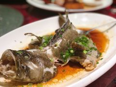清蒸龙趸-金满楼(天河中路店)