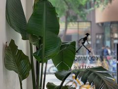 -常识咖啡common sense(春熙路店)
