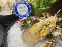 -东海怡品海鲜豆捞(舟宿夜江店)