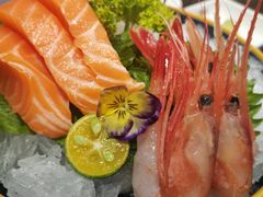 -将太无二·北美传奇寿司(荟聚购物中心西红门店)