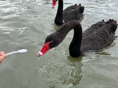 -昆山城市生态森林公园