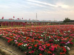 -盈香心动乐园