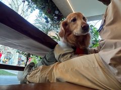 -Money Shops(愚园路店)