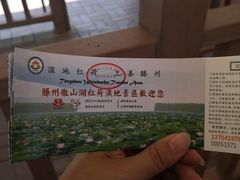 -微山湖红荷湿地景区