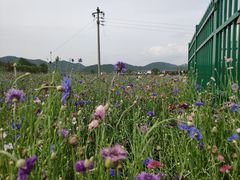 -龙宫洞风景区