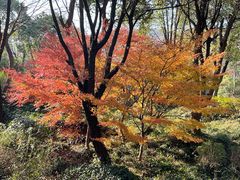 -宝界山林公园