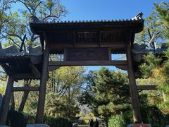 -阳台山自然风景区