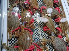 -码头鲜精致威海菜(欧乐坊店)