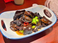 凉拌木耳-魏铭鱼头捞饭(晋阳路店)