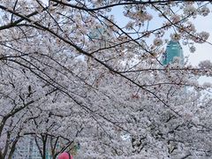 -西北湖绿化广场