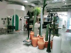 -好看加白色房子