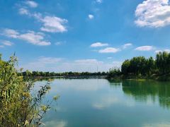 -南湖湿地公园