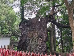 -台州府城(江南长城)