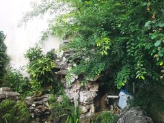 -美味之家·湖景农家乐(太湖东山店)