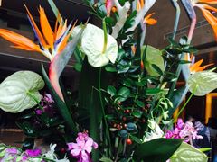 -常州环球恐龙城维景国际大酒店