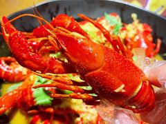 -杨氏青龙虾·羊蝎子(托乐嘉店)