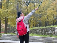 -北京鹫峰国家森林公园
