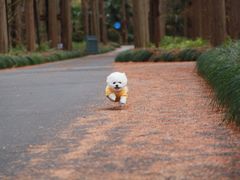 -上海怡沁园度假酒店