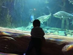 -华夏文旅海洋公园