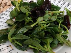 田七拌木耳-清真马家美食城•海鲜•青岛菜•火锅(延安三路店)