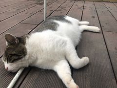 -UNI UNI(环亚凯瑟琳店)