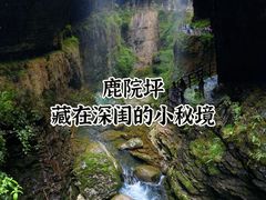 -鹿院坪生态旅游景区