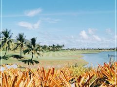 -海南鉴湖蓝湾高尔夫球会