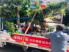 -三圣花乡旅游区