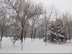 -长白岛森林公园