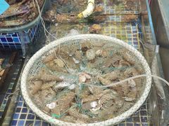 -天盛海鲜烧烤大排档·本地小海鲜·牟平腿穗子(幸福店)