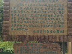 -金龙寺国家森林公园