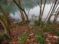 -祁门牯牛降观音堂风景区