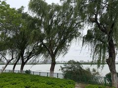 -金银湖国家城市湿地公园