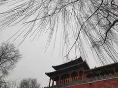 -东华门大街小区