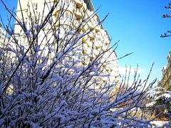 -大连市游泳馆-地面停车场