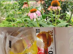 -味多美蛋糕(八大处店)