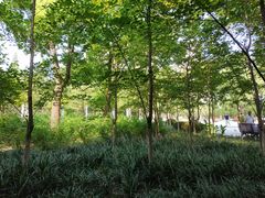 景点-鲁迅公园