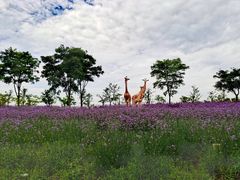 -季高兔窝窝亲子园(上海薰衣草公园店)