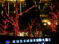 -常州环球恐龙城维景国际大酒店
