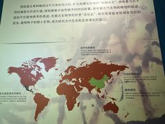 -中华赏石园