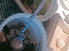 -桂满陇·蟹黄小笼汤包(清河万象店)