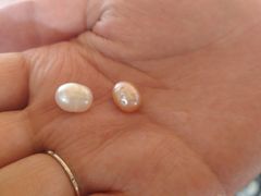 -北海金海湾红树林生态旅游区