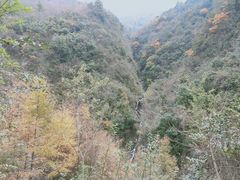 -卧龙自然保护区