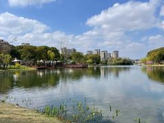 -新江湾城公园