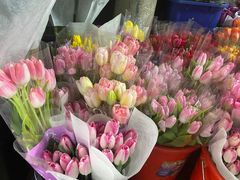 -循礼门鲜花花市(武汉循礼门店)